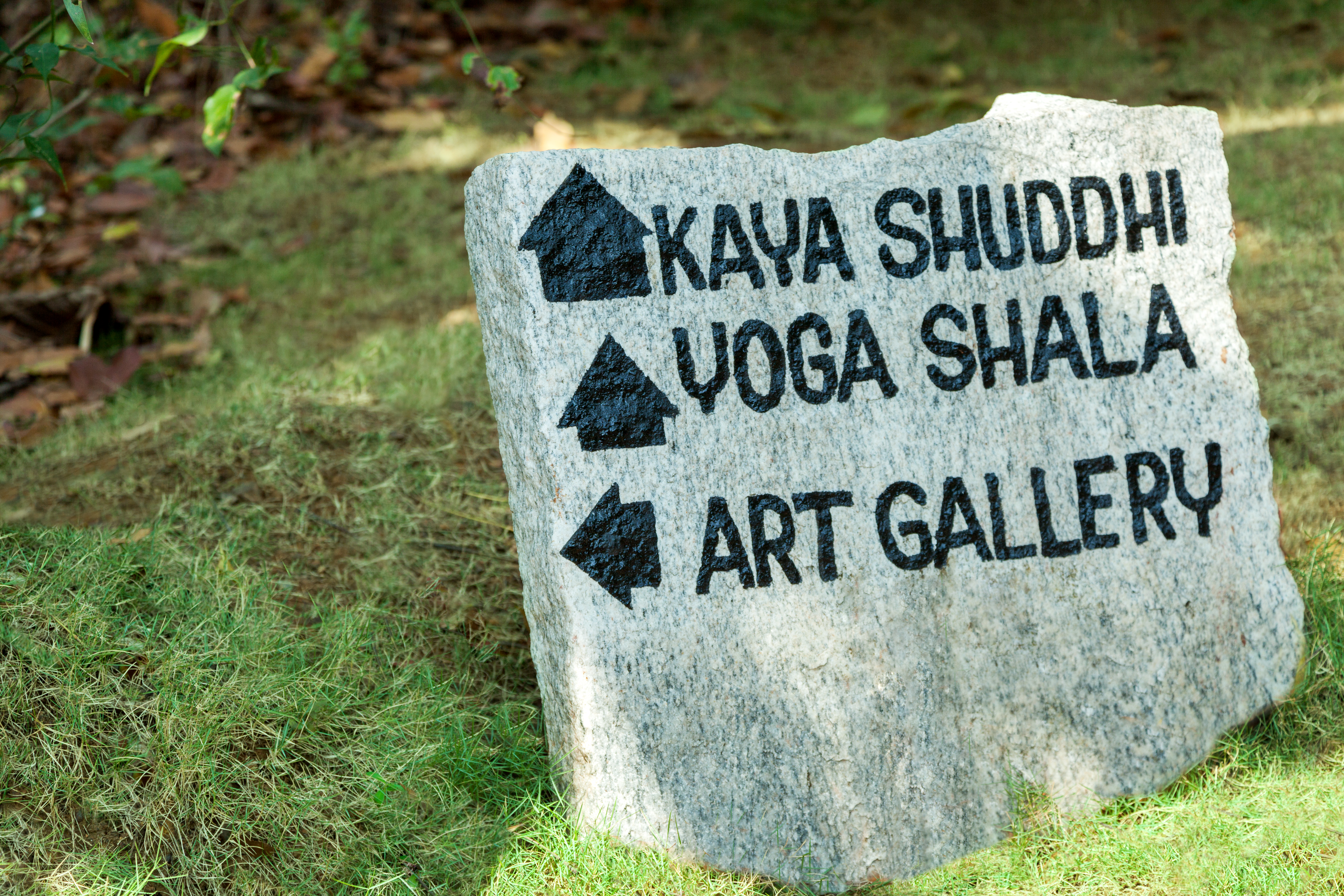 SwaSwara Ayurveda and Yoga on Om Beach (3).jpg