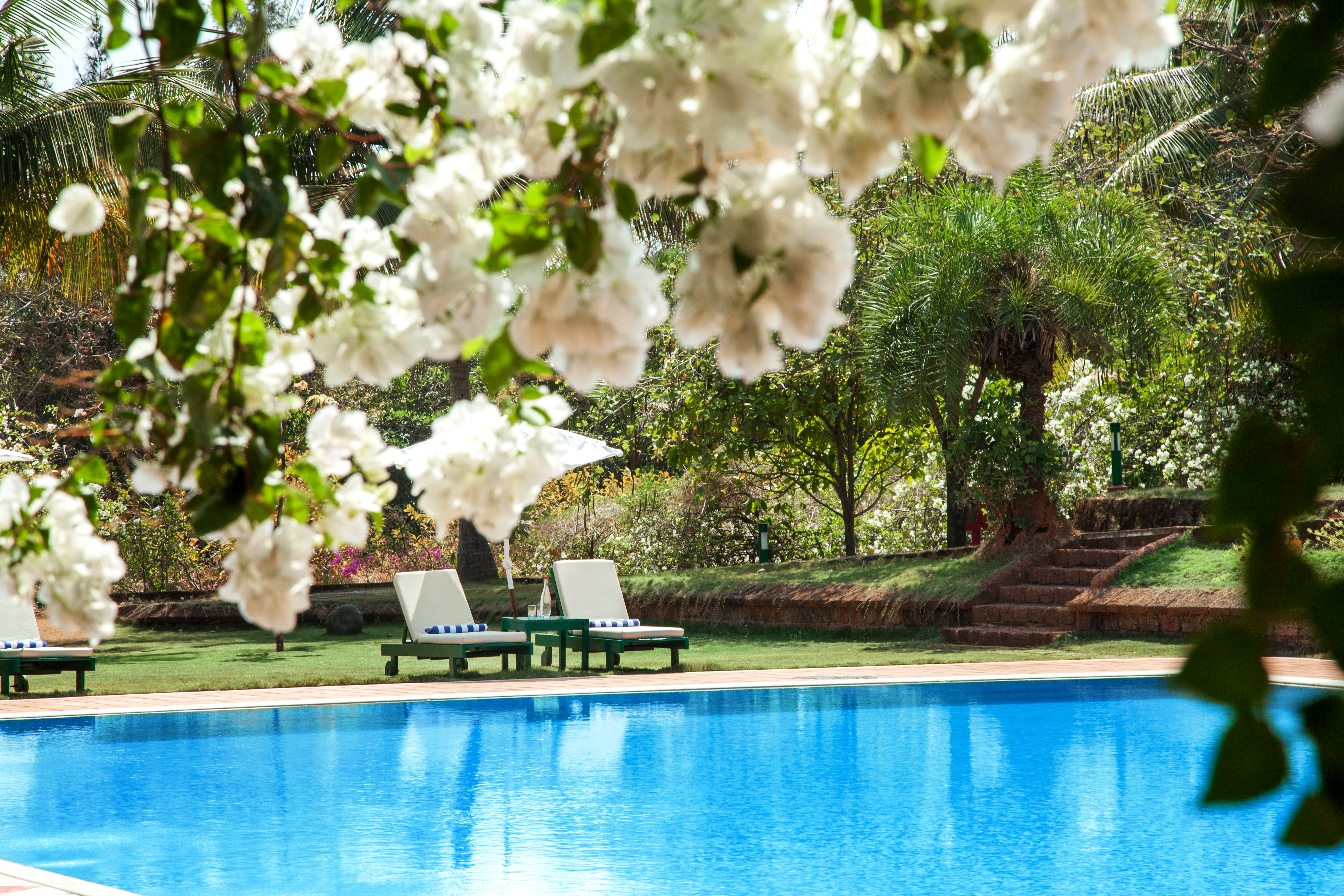 SwaSwara Ayurveda and Yoga on Om Beach_swimming pool.jpg