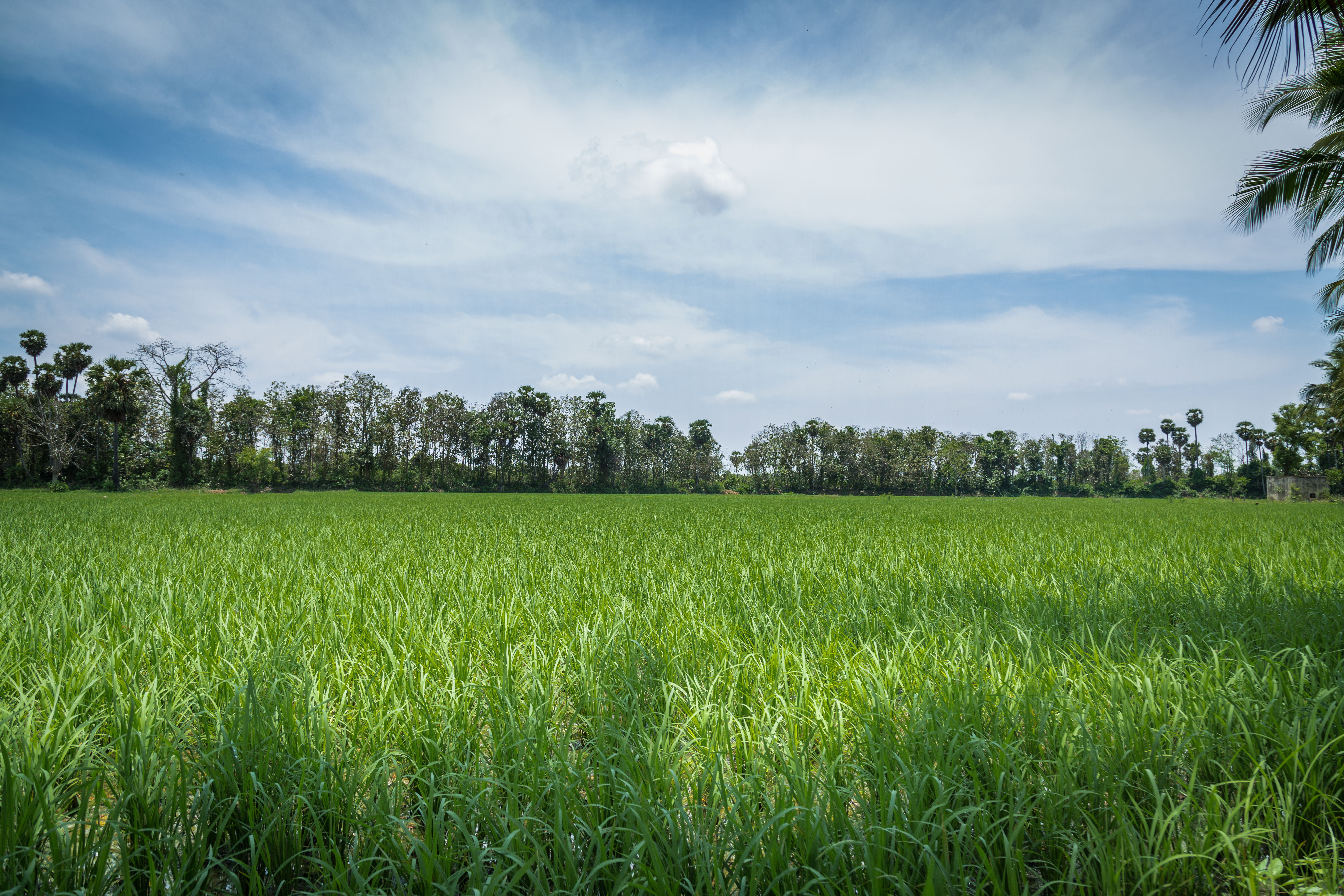 mantrakoodamcghearthvillage (36).jpg