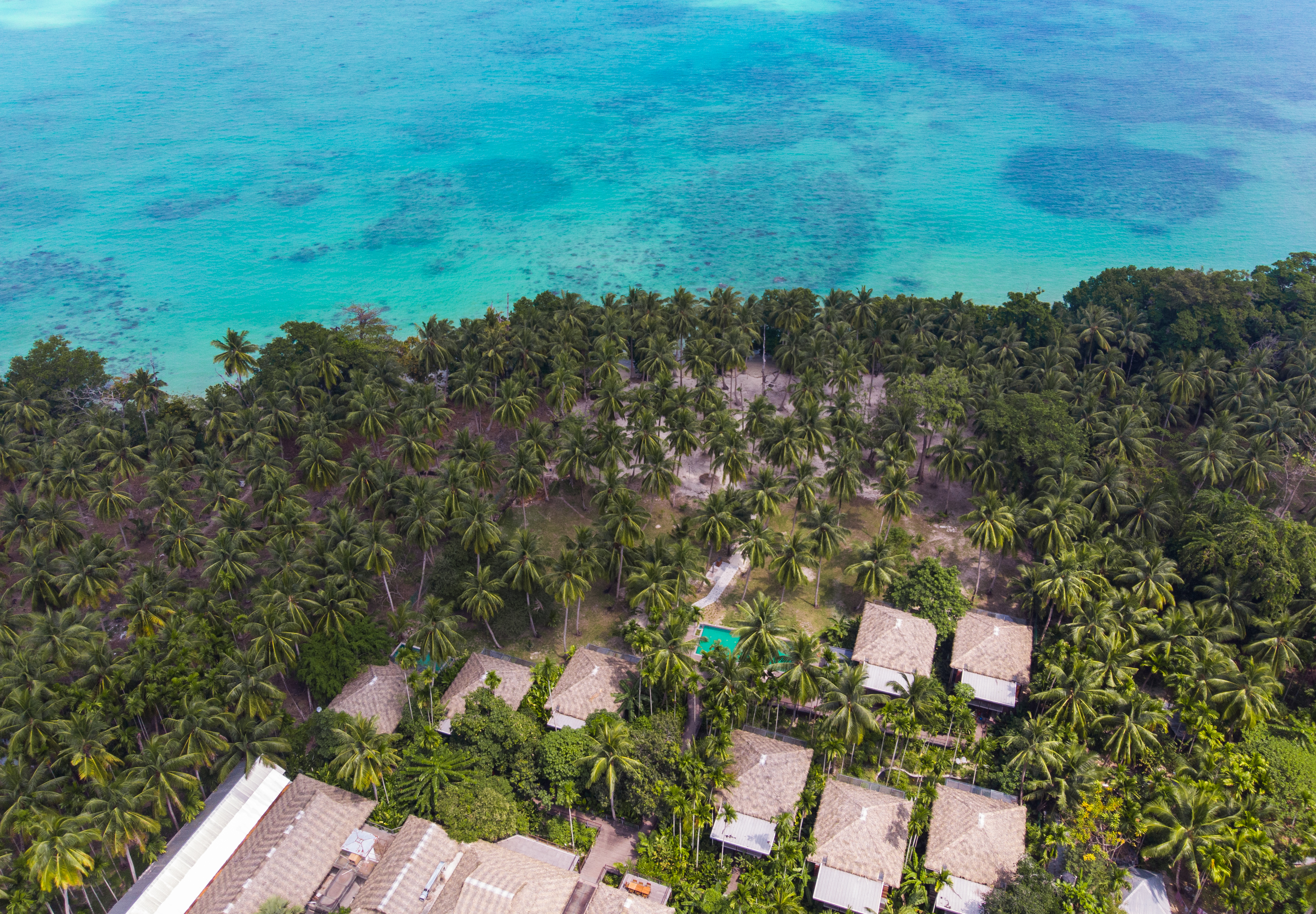 1aaa. Tilar Siro.jpg