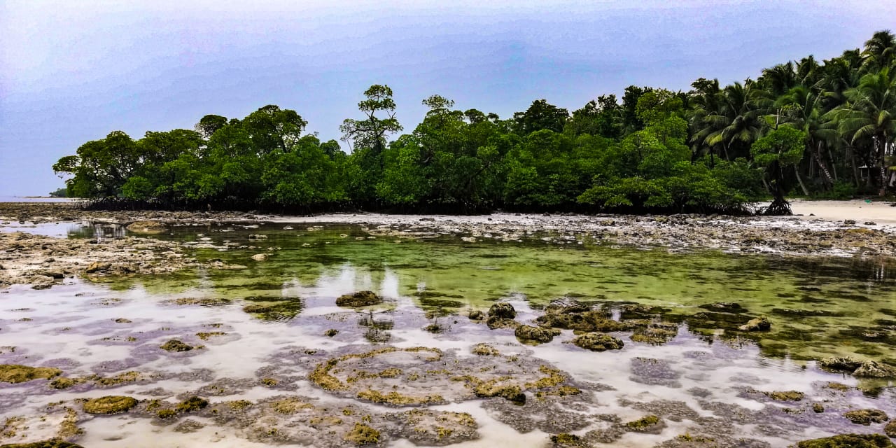 10.Tilar Siro, Andamans-Landscape.jpeg