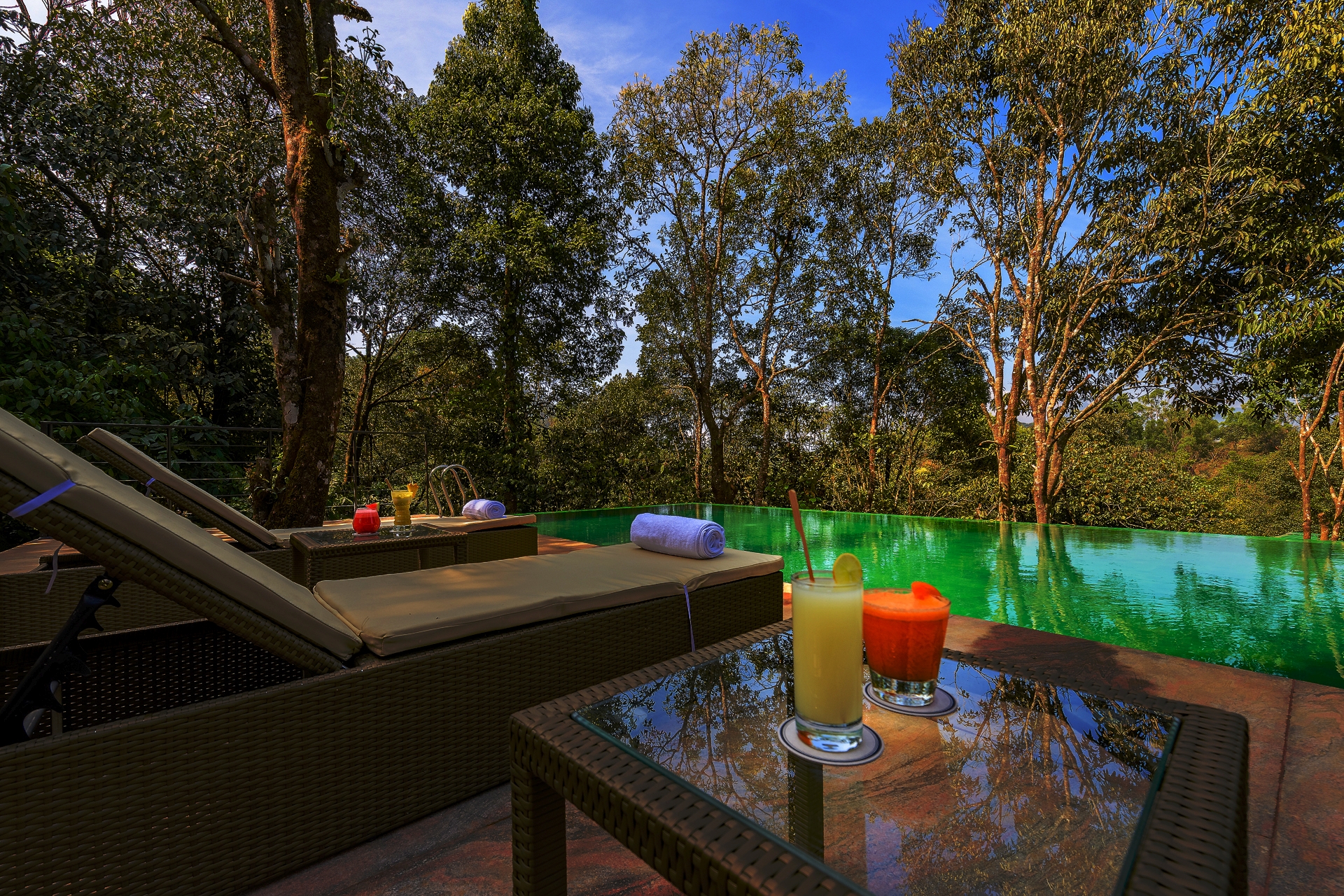 Wayanad Wild - Pools side 2.JPG