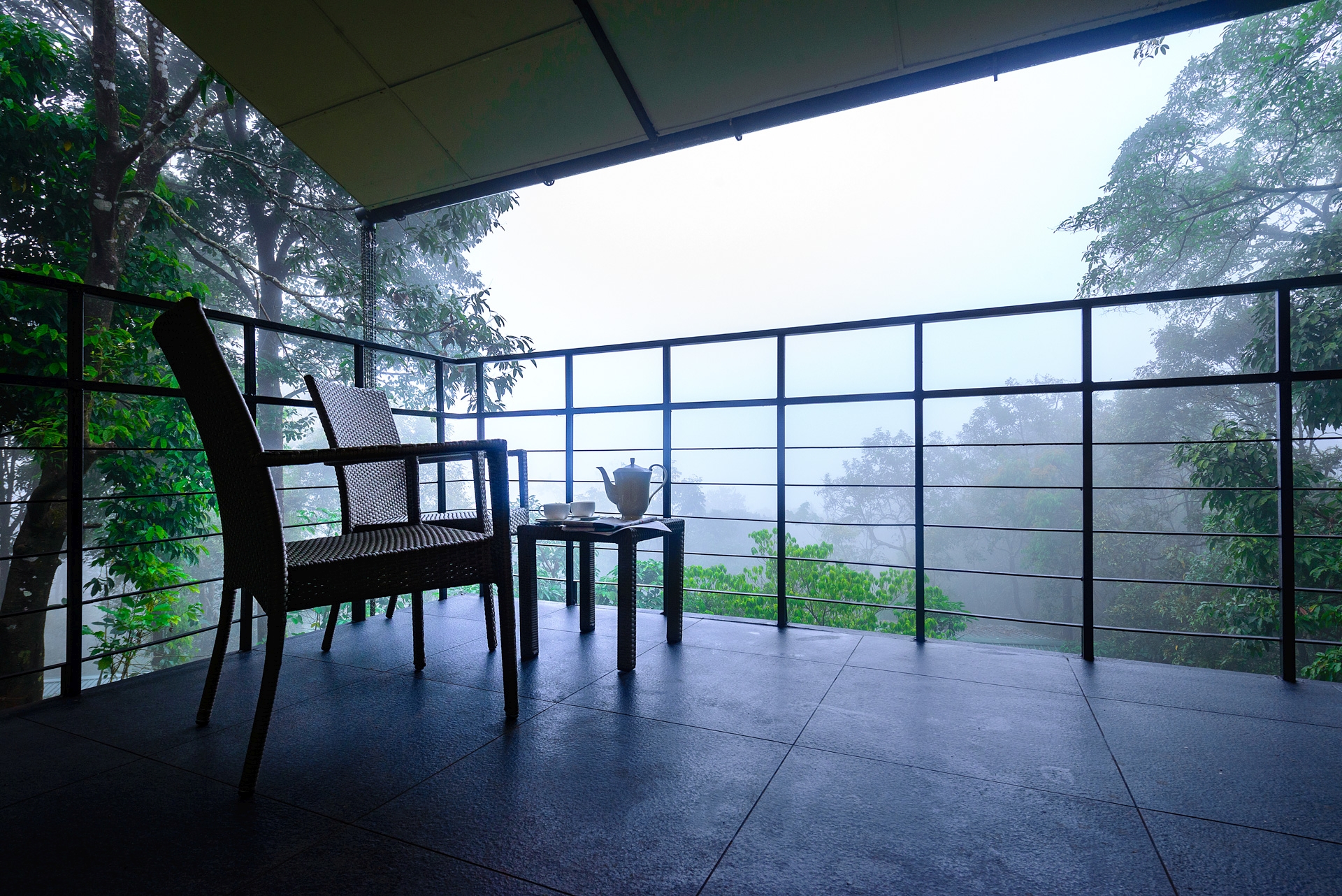 Wayanad Wild Balcony.JPG