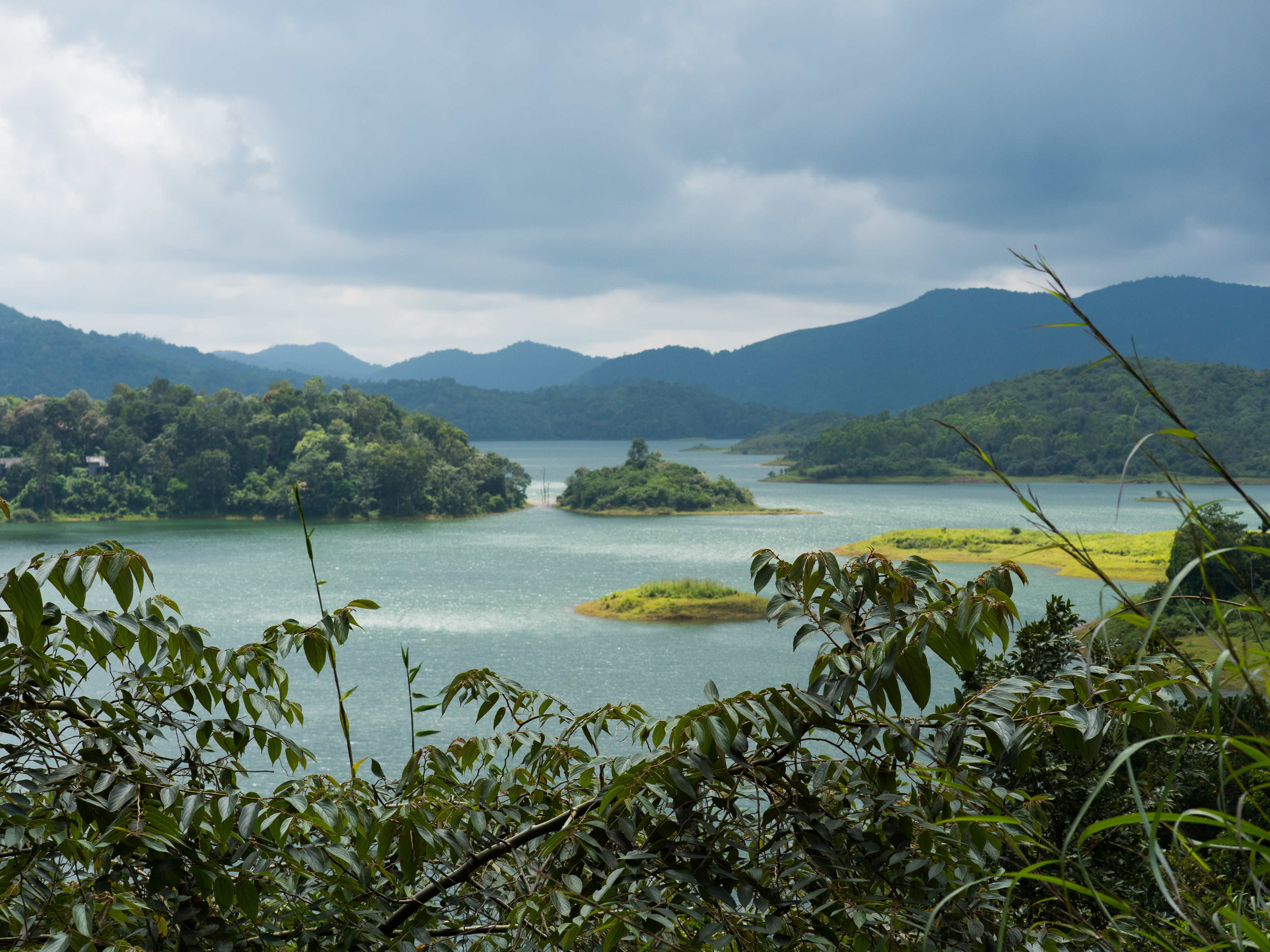 Wayanad Wild Nature2.jpg