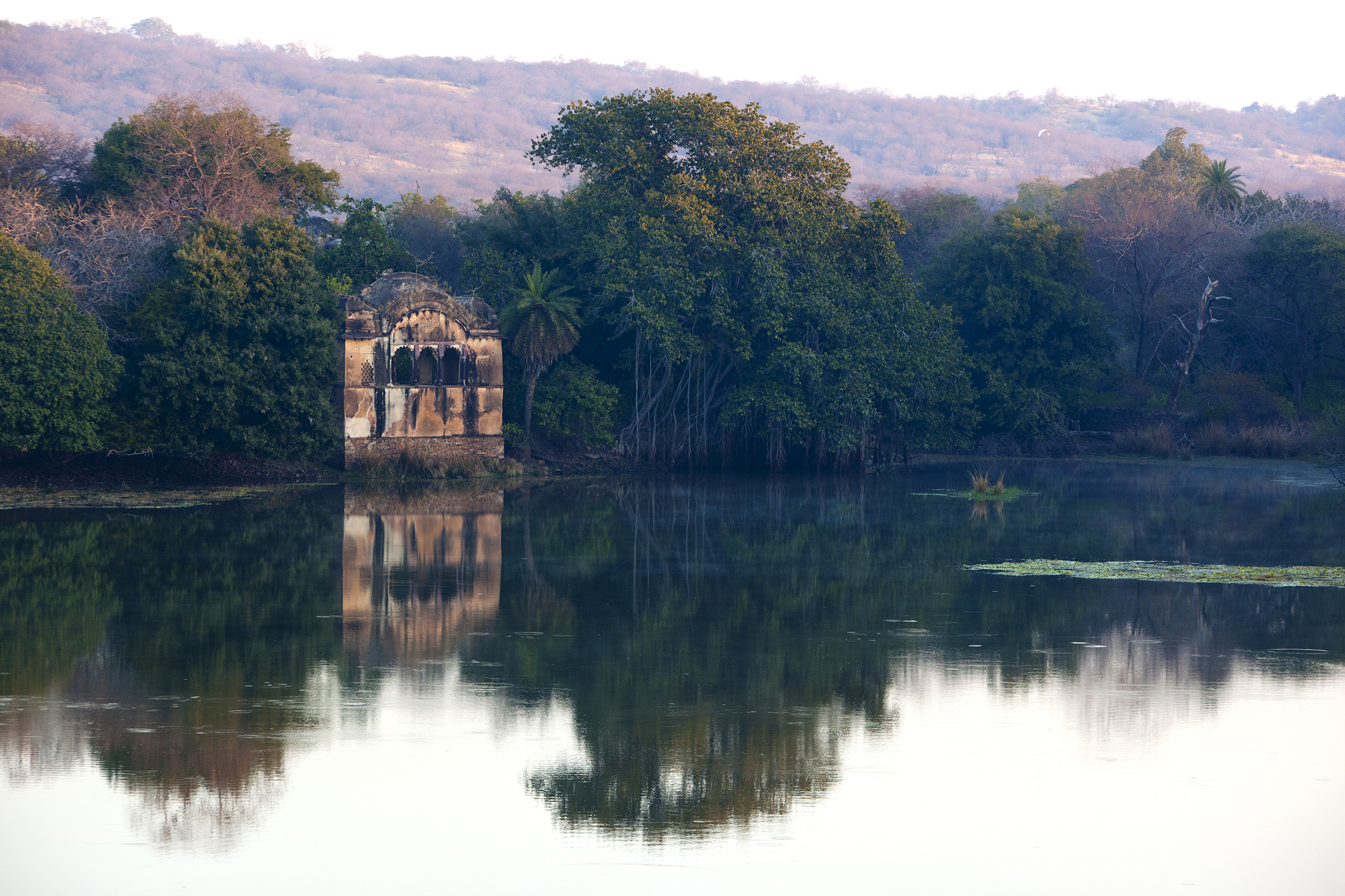 SherBaghLake and ruin palace.jpg