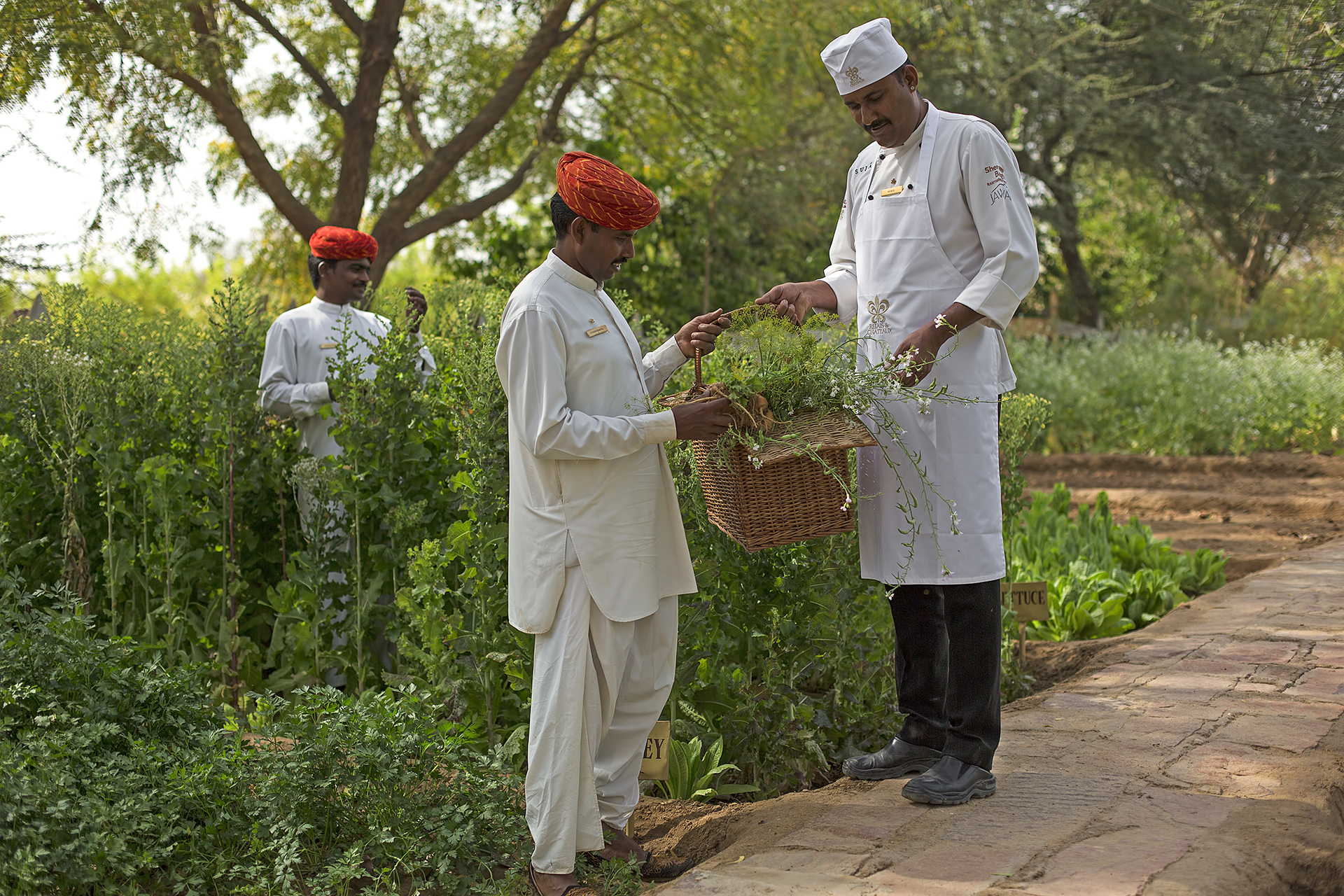 TheSerai_B8A9654 A.jpg