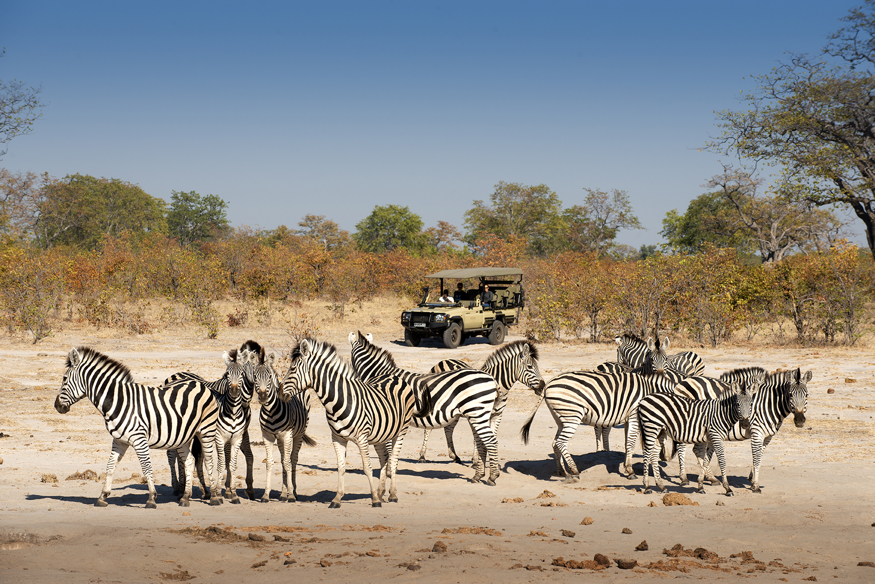 African Bush Camps Linyanti Expeditions 11.jpg
