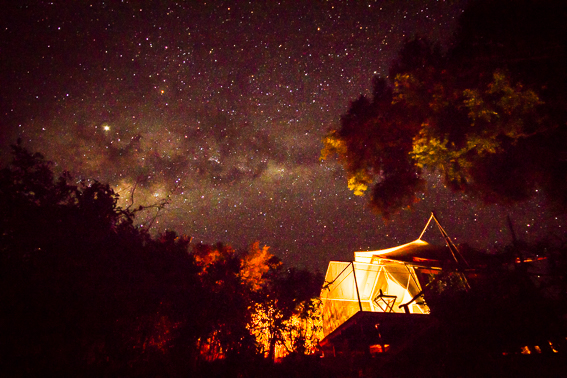 African Bush Camps Linyanti Expeditions 15.jpg