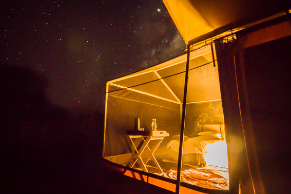 African Bush Camps Linyanti Expeditions 22.jpg