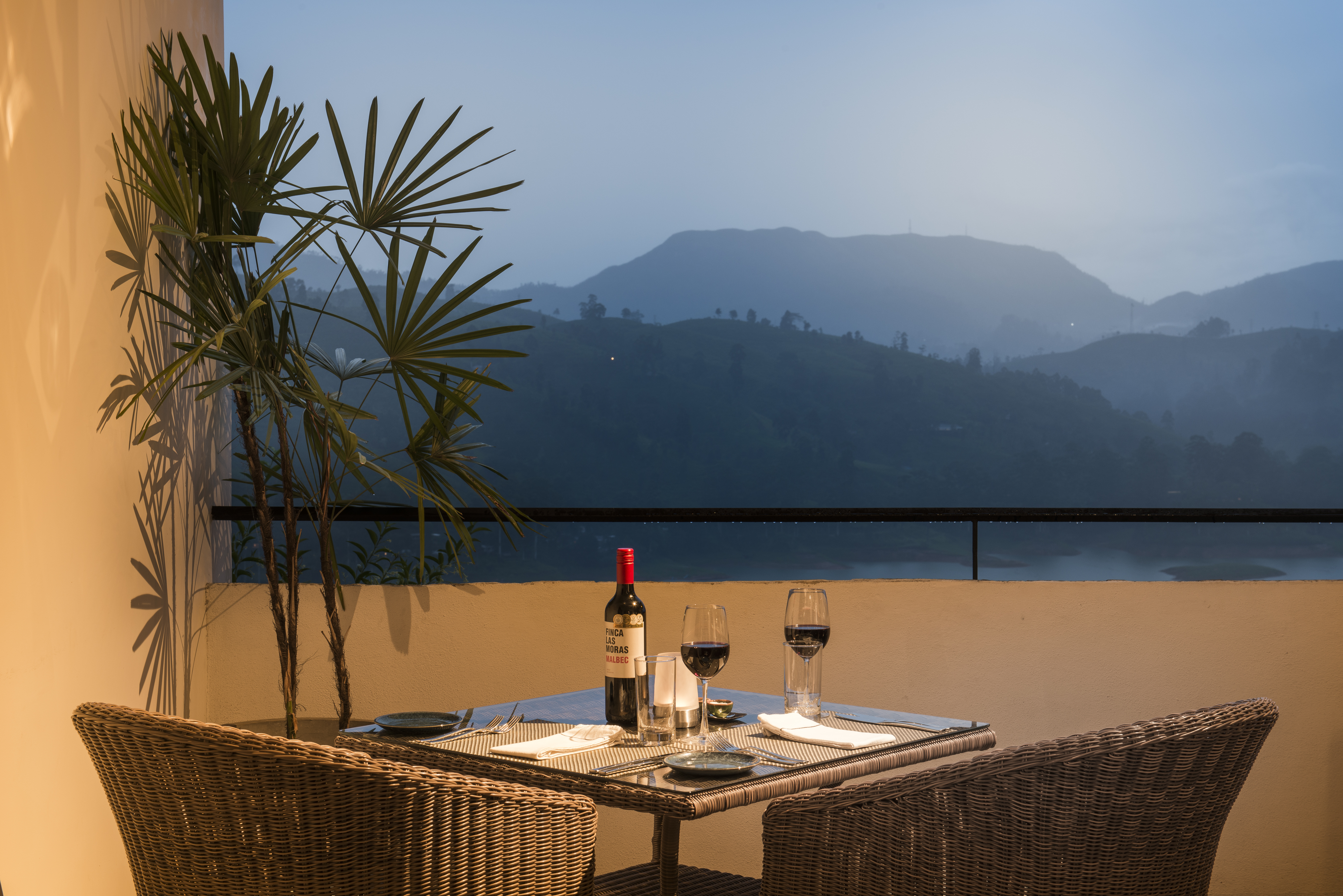 Camellia Hills, Hill Country, Sri Lanka 5