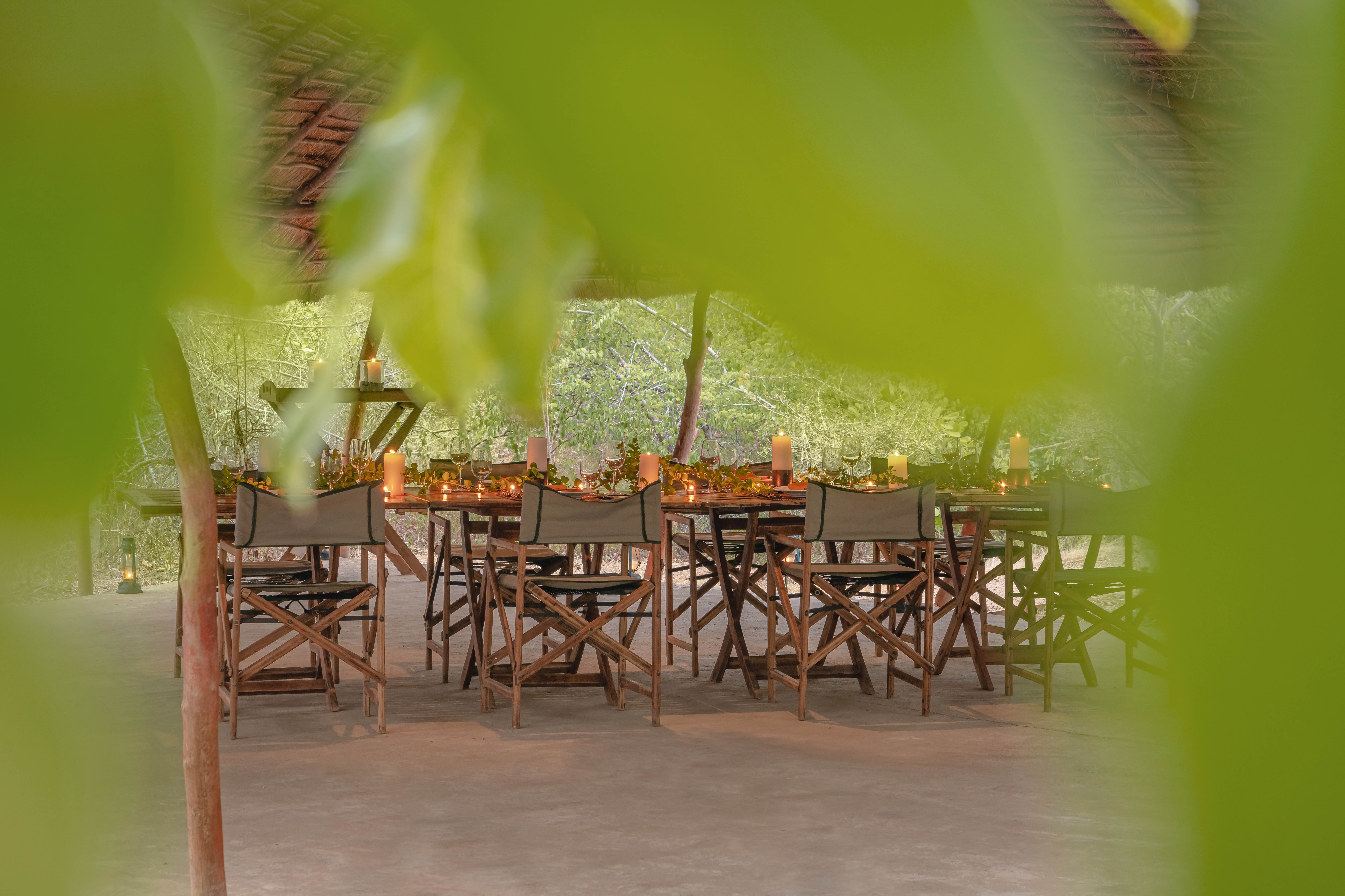 Leopard Safari Yala.jpg