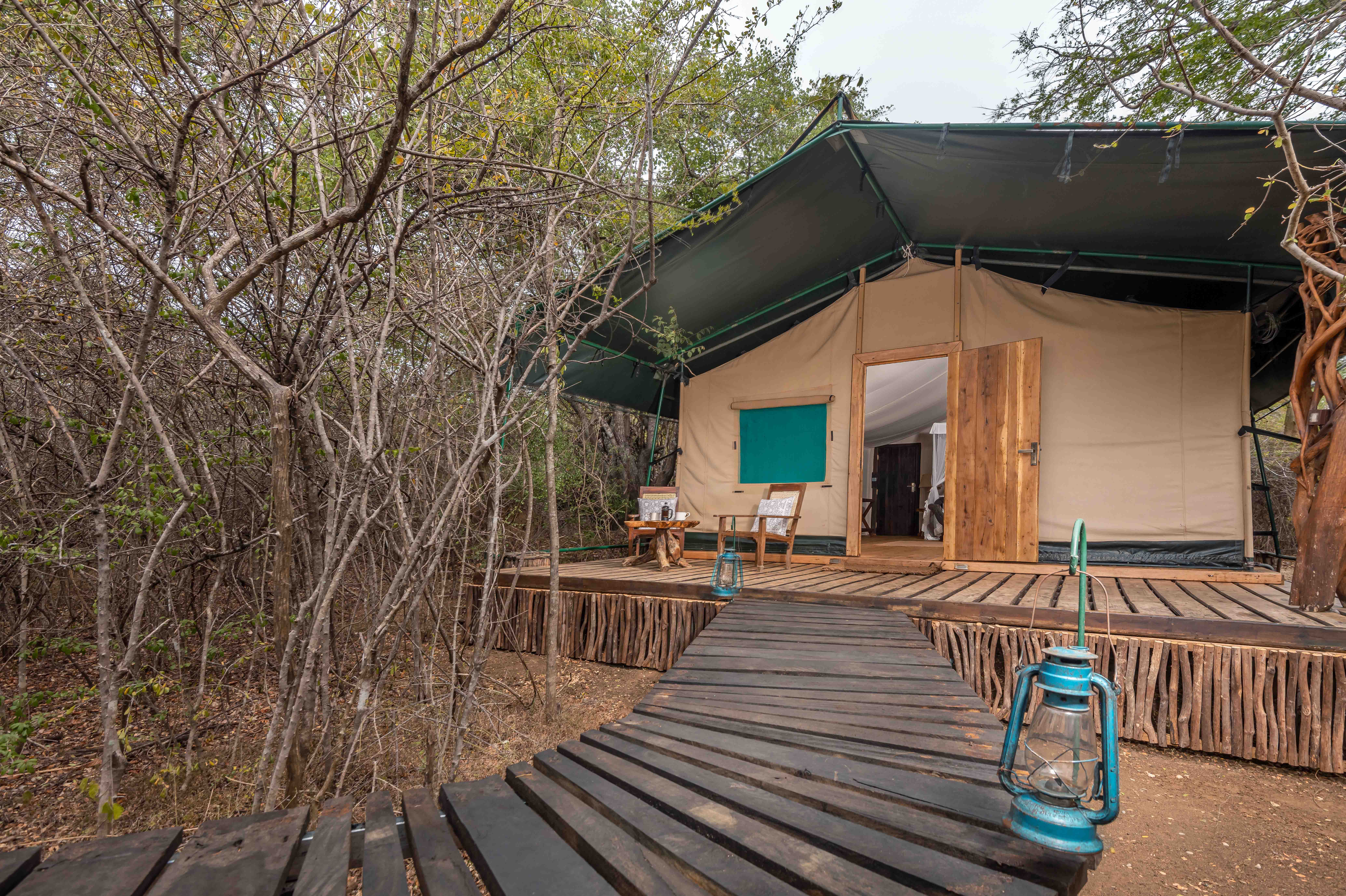 pathway leopard tent.jpg