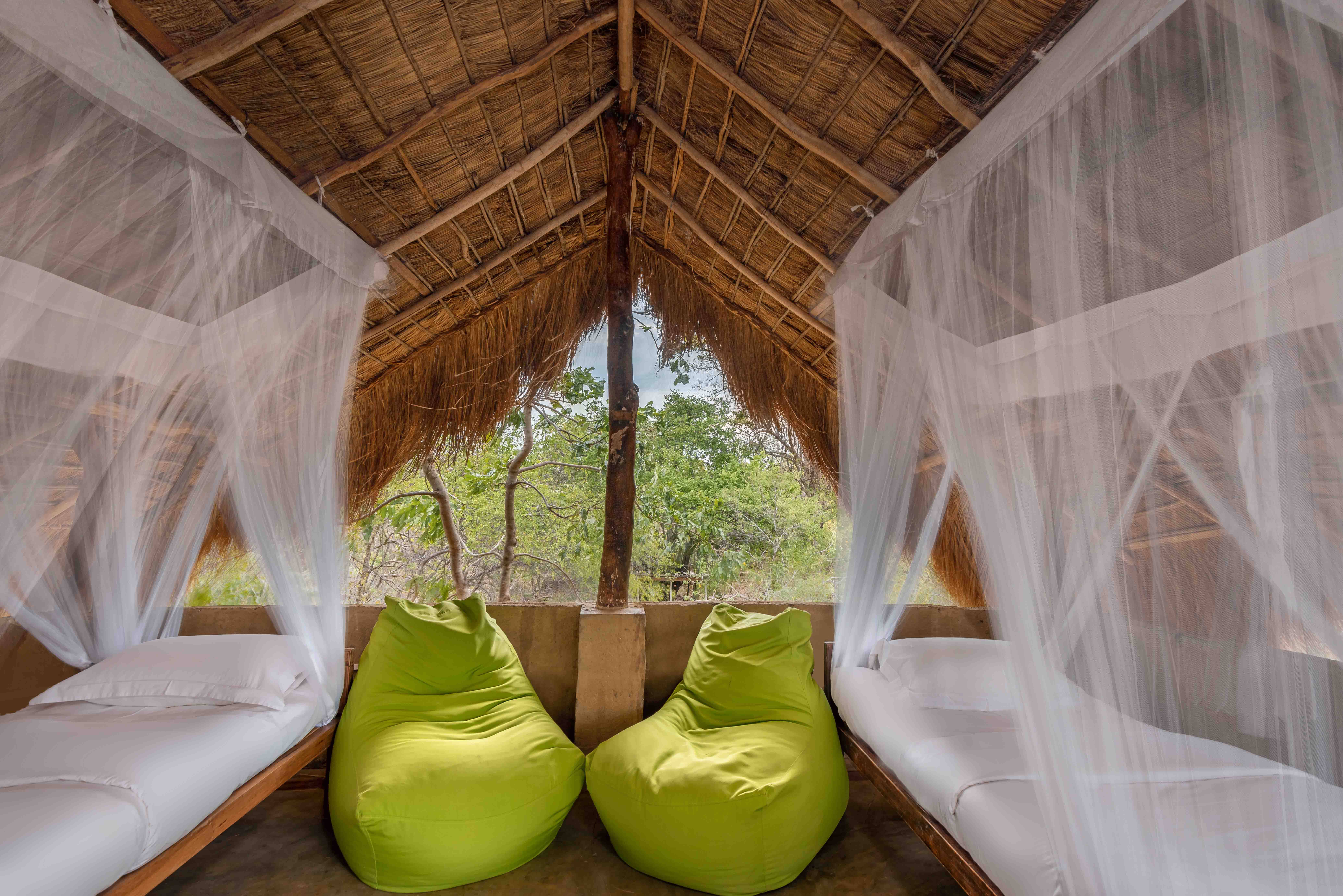 Tree house upstairs.jpg