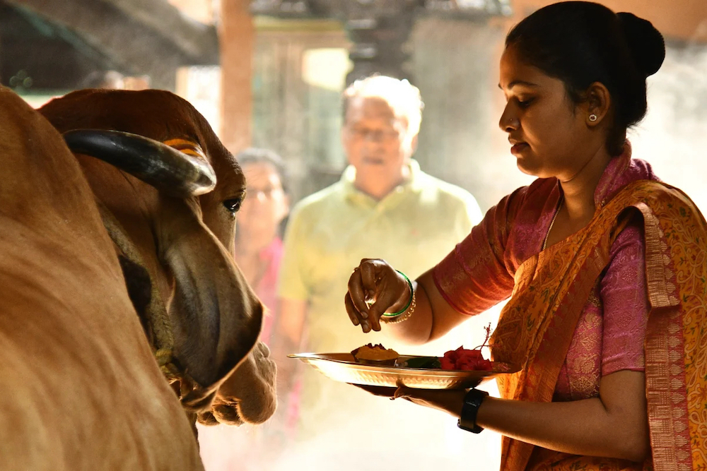 Hoysala Village, Hassan, South India 13.jpg