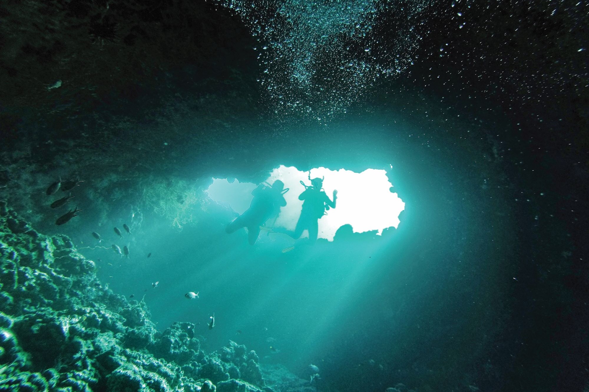 Amilla Fushi Maldives Blue Hole Diving.jpg