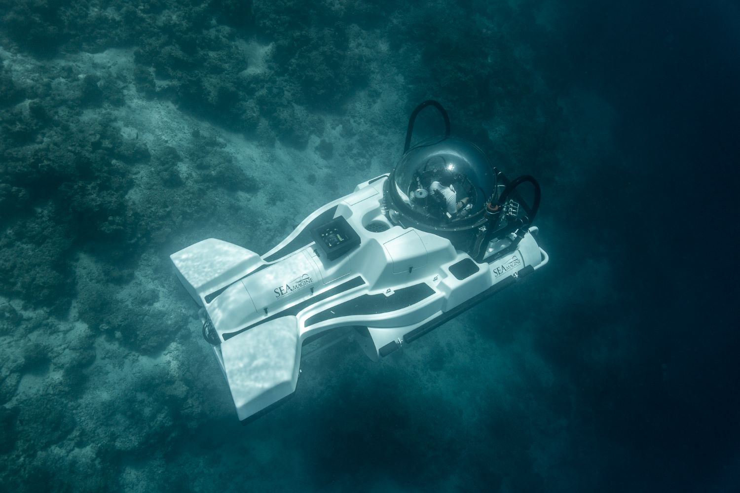 Patina Maldives Ocean Pearl.jpg