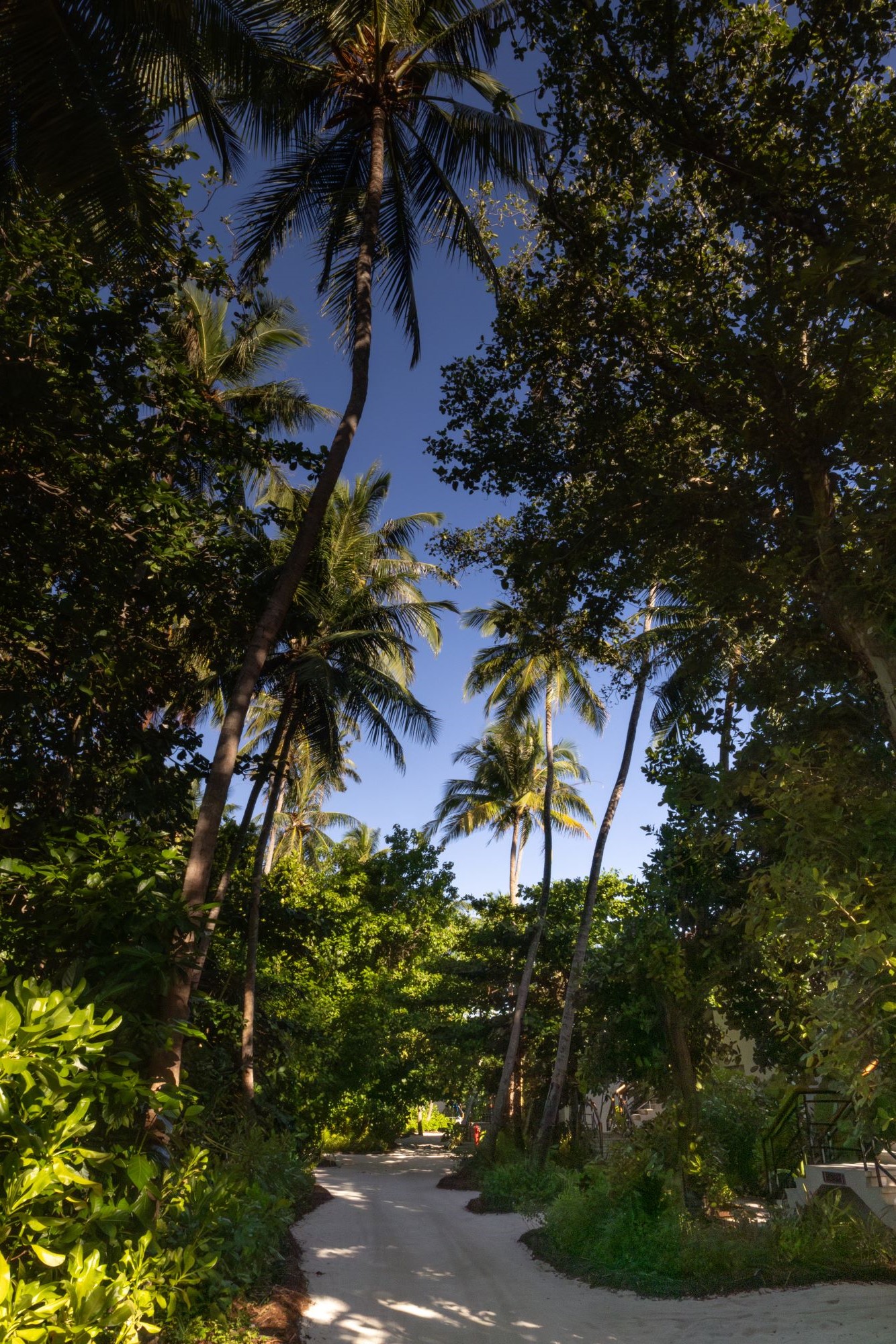 Avani Fares Maldives Island Interior.jpg