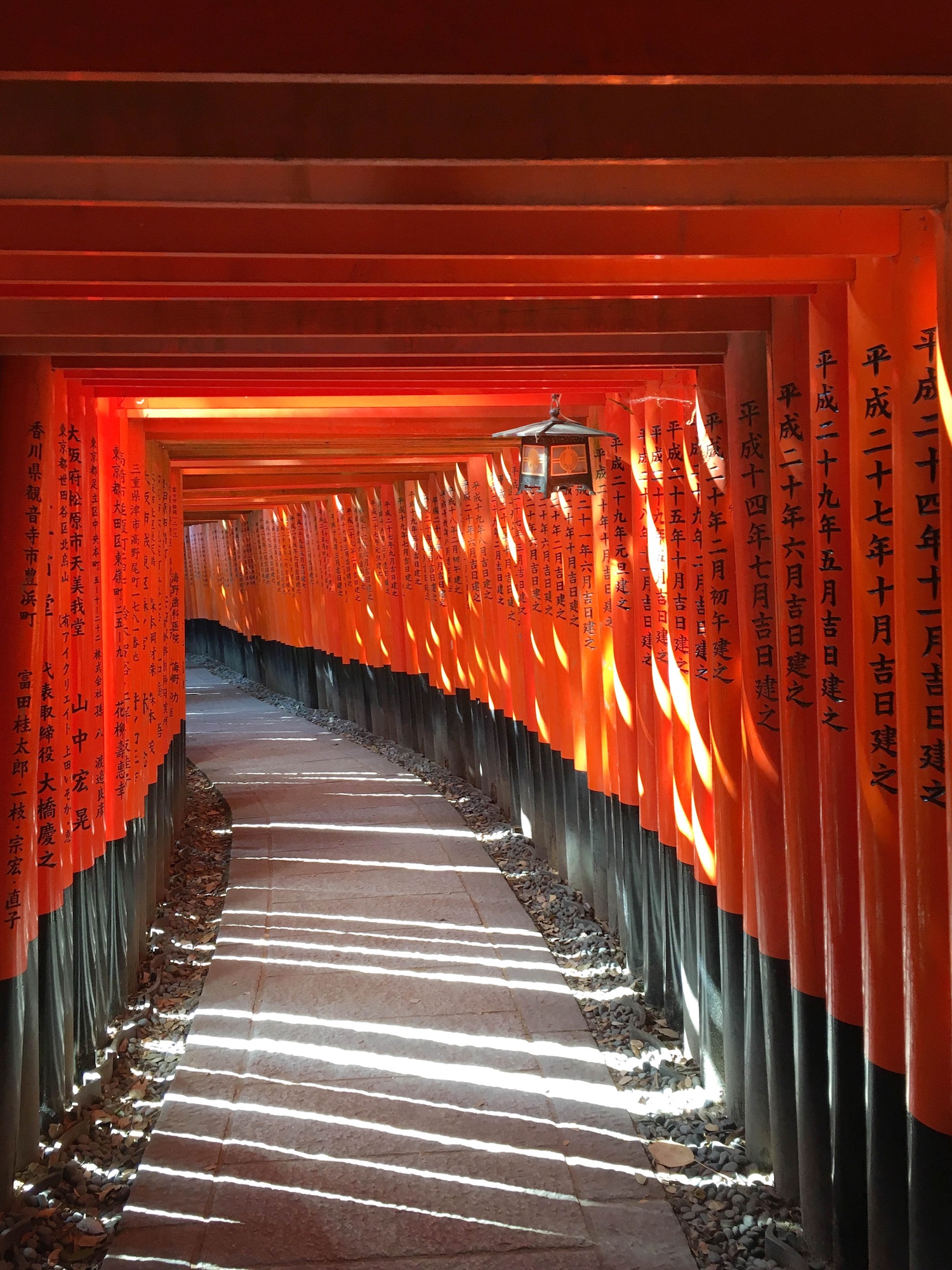 Fushimi Inari, Kyoto, Japan.jpg