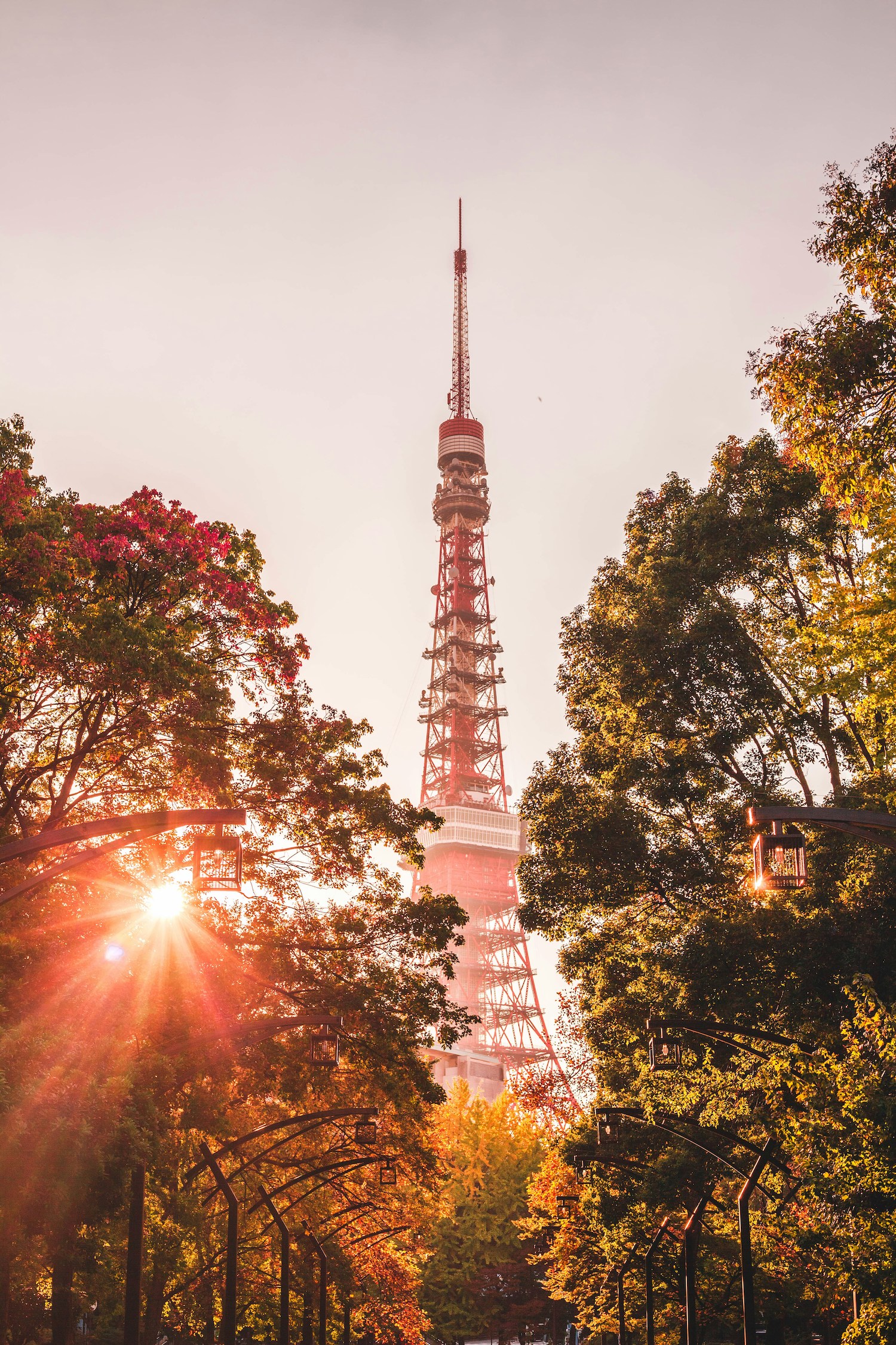 Tokyo Tower, Tokyo, Japan.jpg