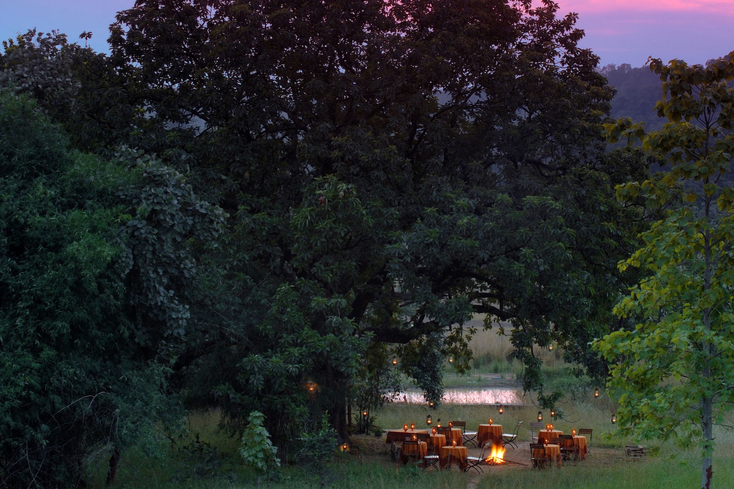 Baghvan, Pench National Park, North India 7.jpg