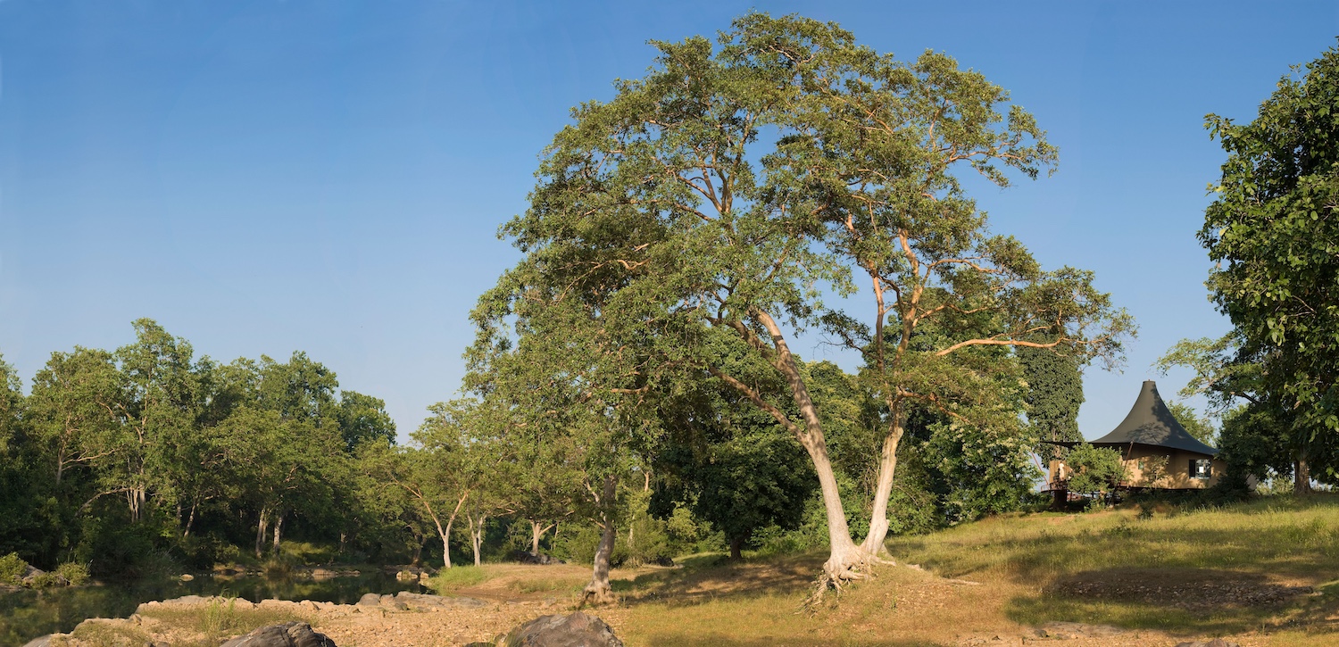 Banjaar Tola, Kanha National Park, North India 10.jpg