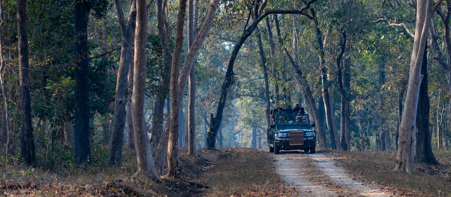 Banjaar Tola, Kanha National Park, North India 11.jpg