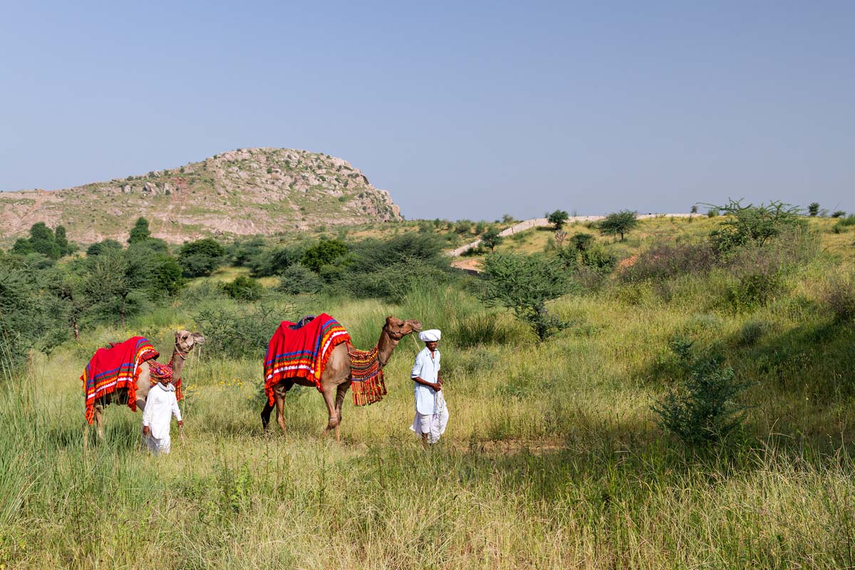 Samode Palace, Samode, North India 4.jpg