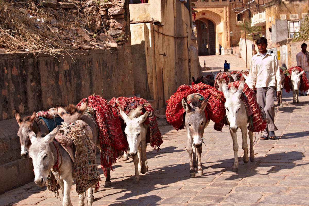 Samode Palace, Samode, North India 7.jpg