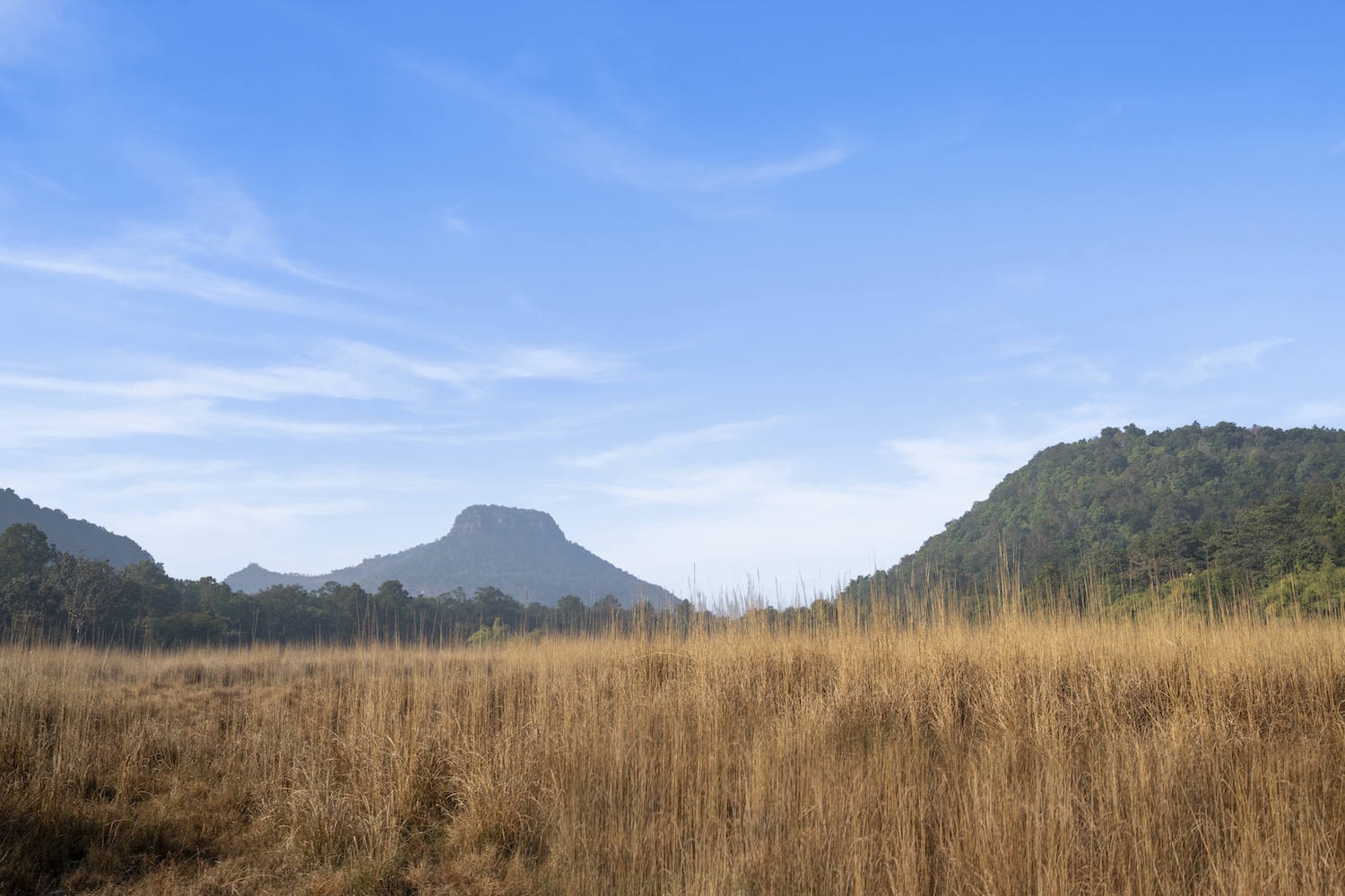 Bandhavgarh Tiger Reserve Landscape, Oberoi Vindhyavilas, Bandhavgarh, North India.jpg