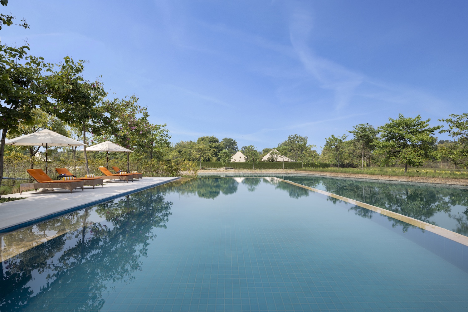 Infinity Pool, Oberoi Vindhyavilas, Bandhavgarh, North India.jpg