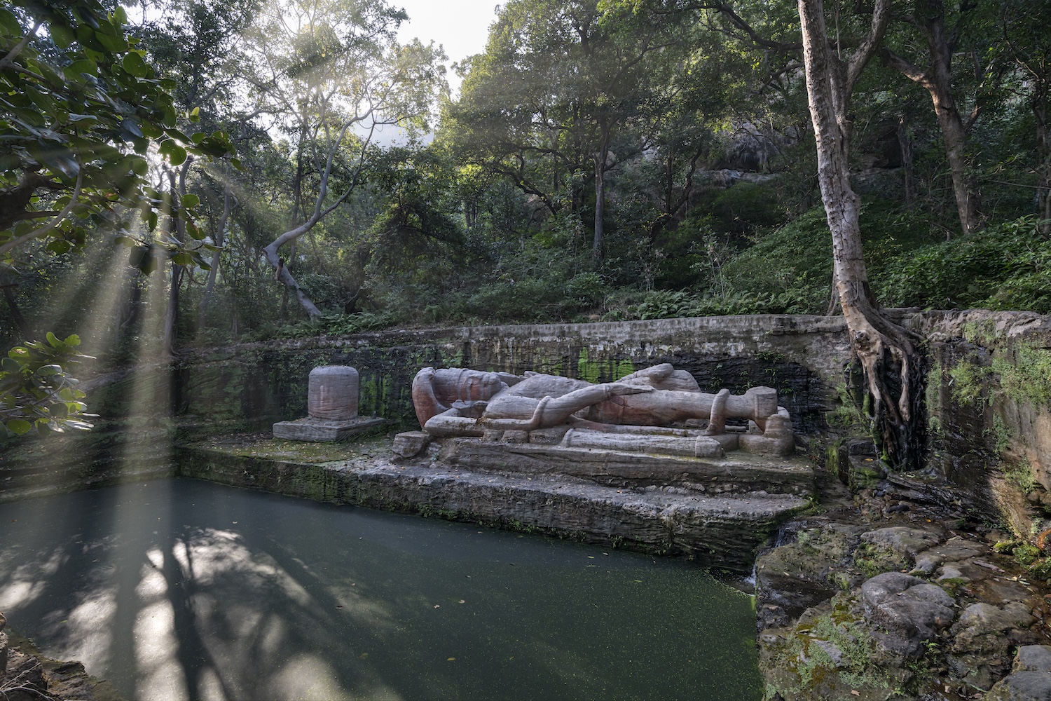 Shesh Shaiya - Bandhavgarh Tiger Reserve, Oberoi Vindhyavilas, Bandhavgarh, North India.jpg