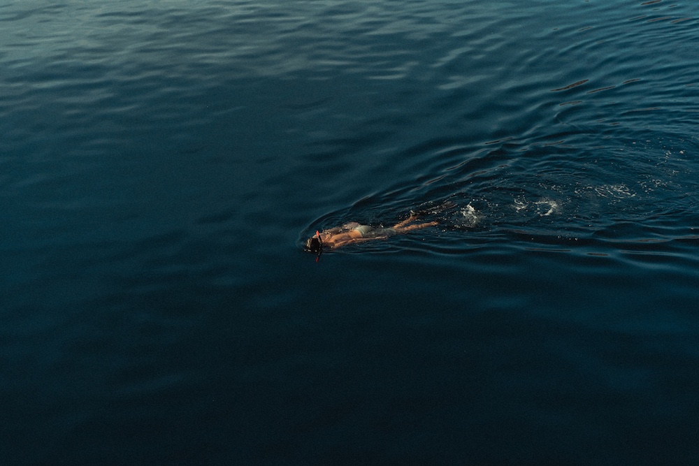 Vela, Komodo, Raja Ampat, Indonesia 12.jpg