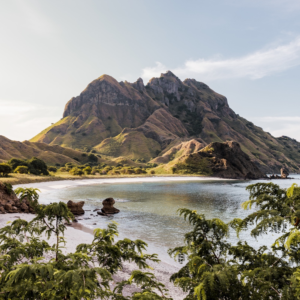 Vela, Komodo, Raja Ampat, Indonesia 15.jpg