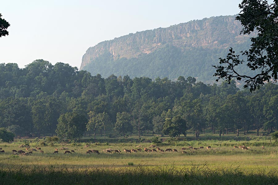 Samode Safari Lodge, Bandhavgarh, North India 10.jpg