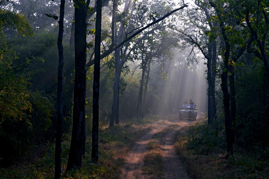 Samode Safari Lodge, Bandhavgarh, North India 11.jpg