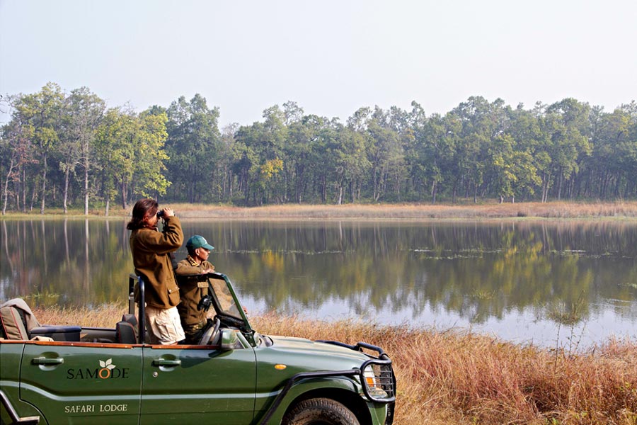 Samode Safari Lodge, Bandhavgarh, North India 13.jpg