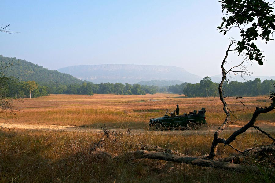 Samode Safari Lodge, Bandhavgarh, North India 14.jpg