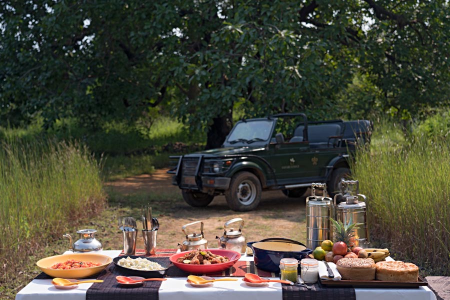 Samode Safari Lodge, Bandhavgarh, North India 18.jpg