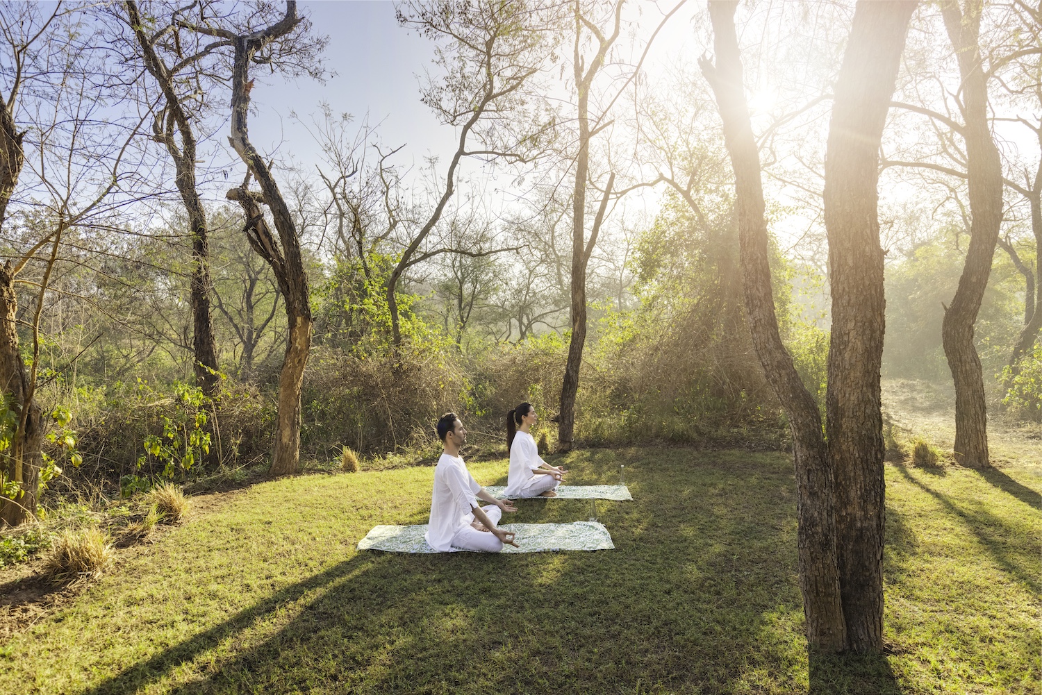The Oberoi Sukhvilas Spa Resort, Chandigarh, North India 9.jpg