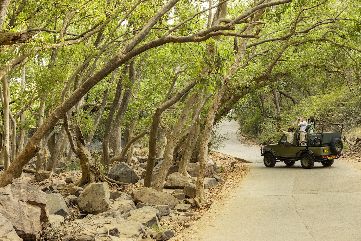 The Oberoi Vanyavilas, Ranthambore, North India 3.jpg