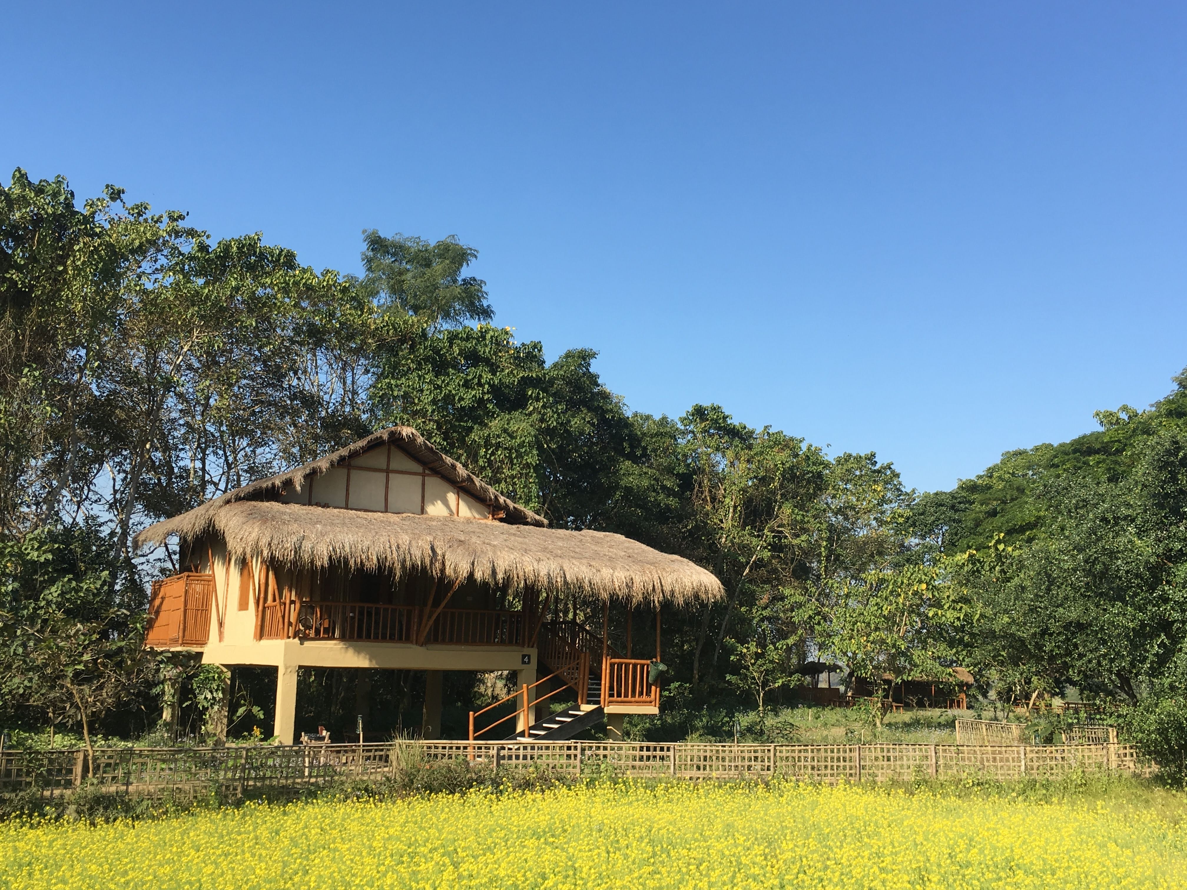 Diphlu River Lodge, Kaziranga National Park, India 1.JPG.jpg