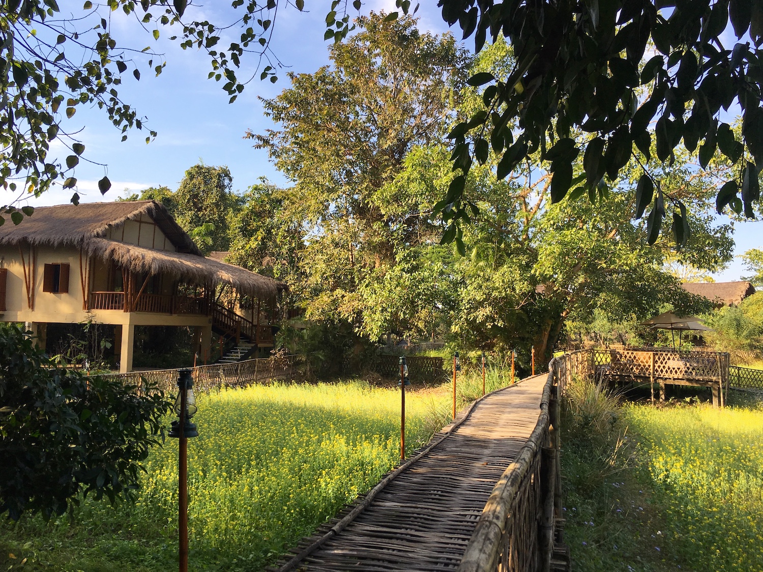 Diphlu River Lodge, Kaziranga National Park, India 4.jpg