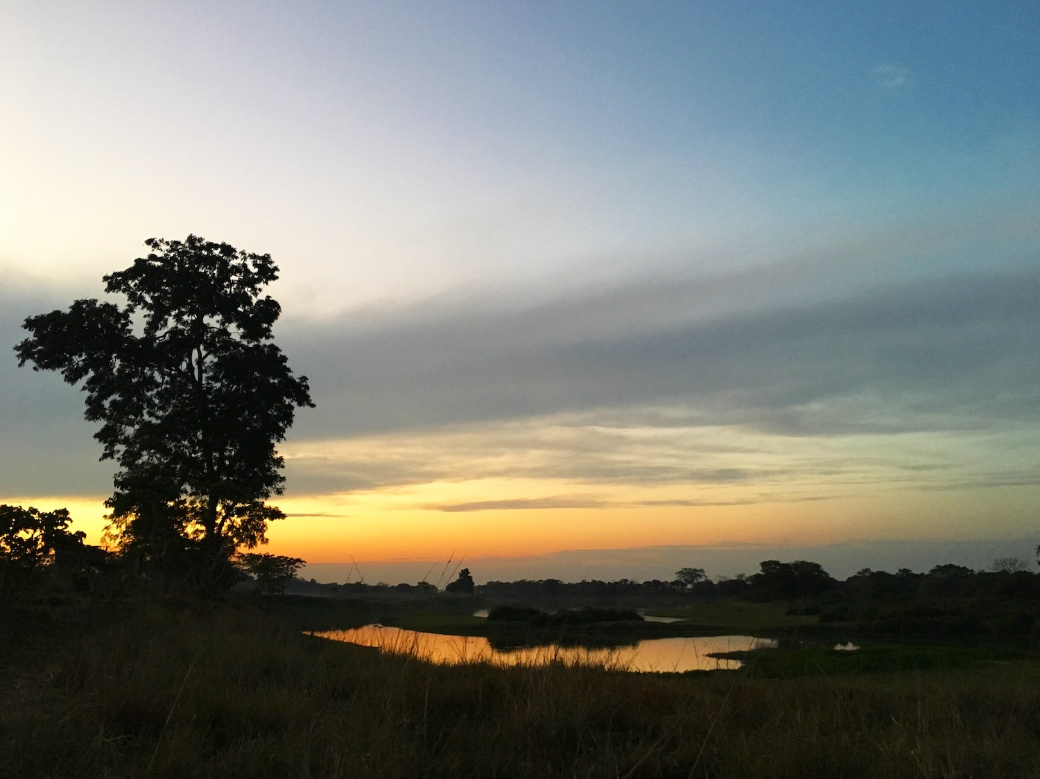 Diphlu River Lodge, Kaziranga National Park, India 12.jpg