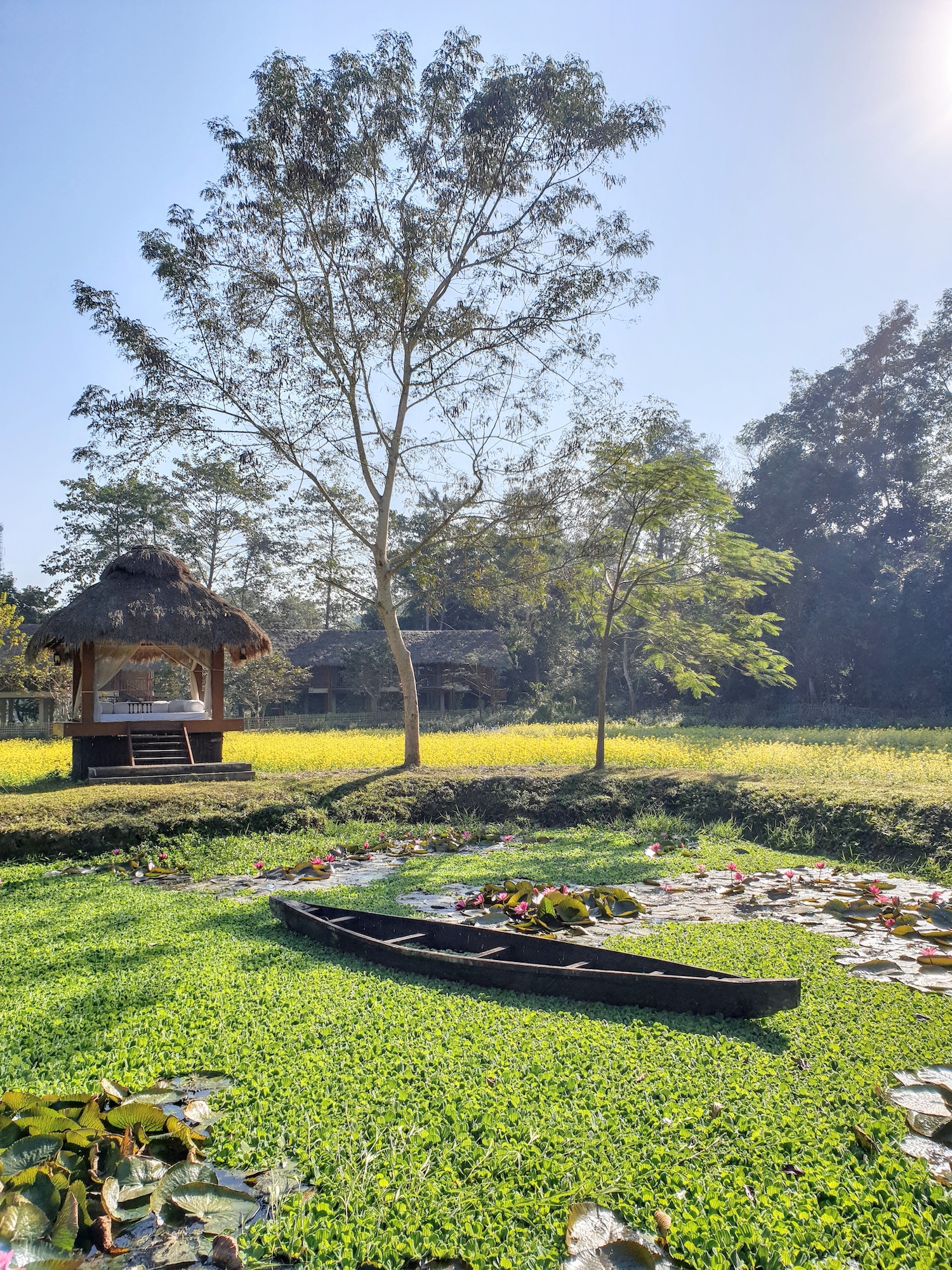 Diphlu River Lodge, Kaziranga National Park, India 15.jpg