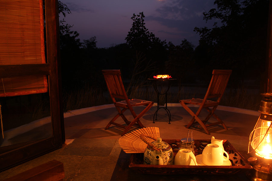 Flame of the Forest, Kanha, India 4.jpg