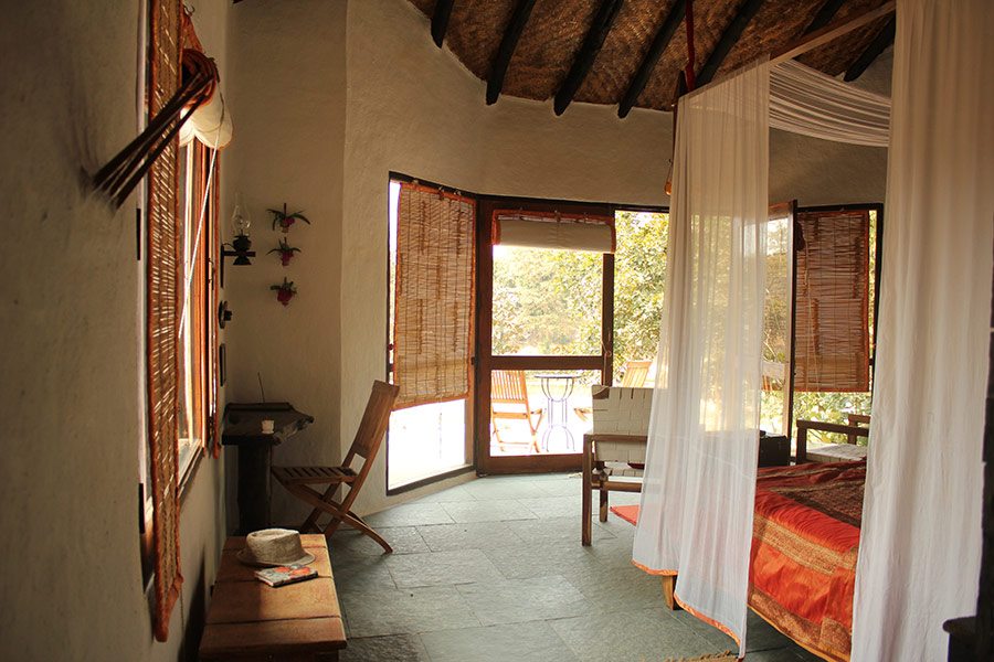 Flame of the Forest, Kanha, India 7.jpg