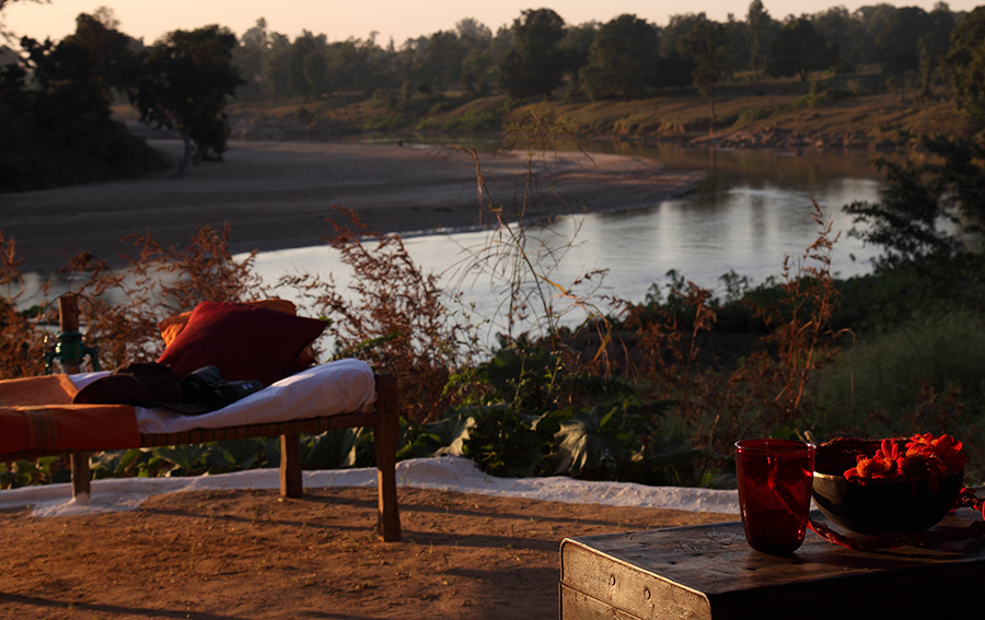 Flame of the Forest, Kanha, India 9.jpg