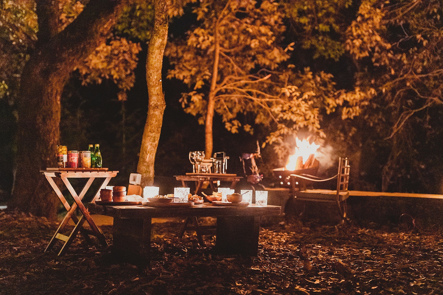 Mary Budden Estate, Binsar, India 4.jpg