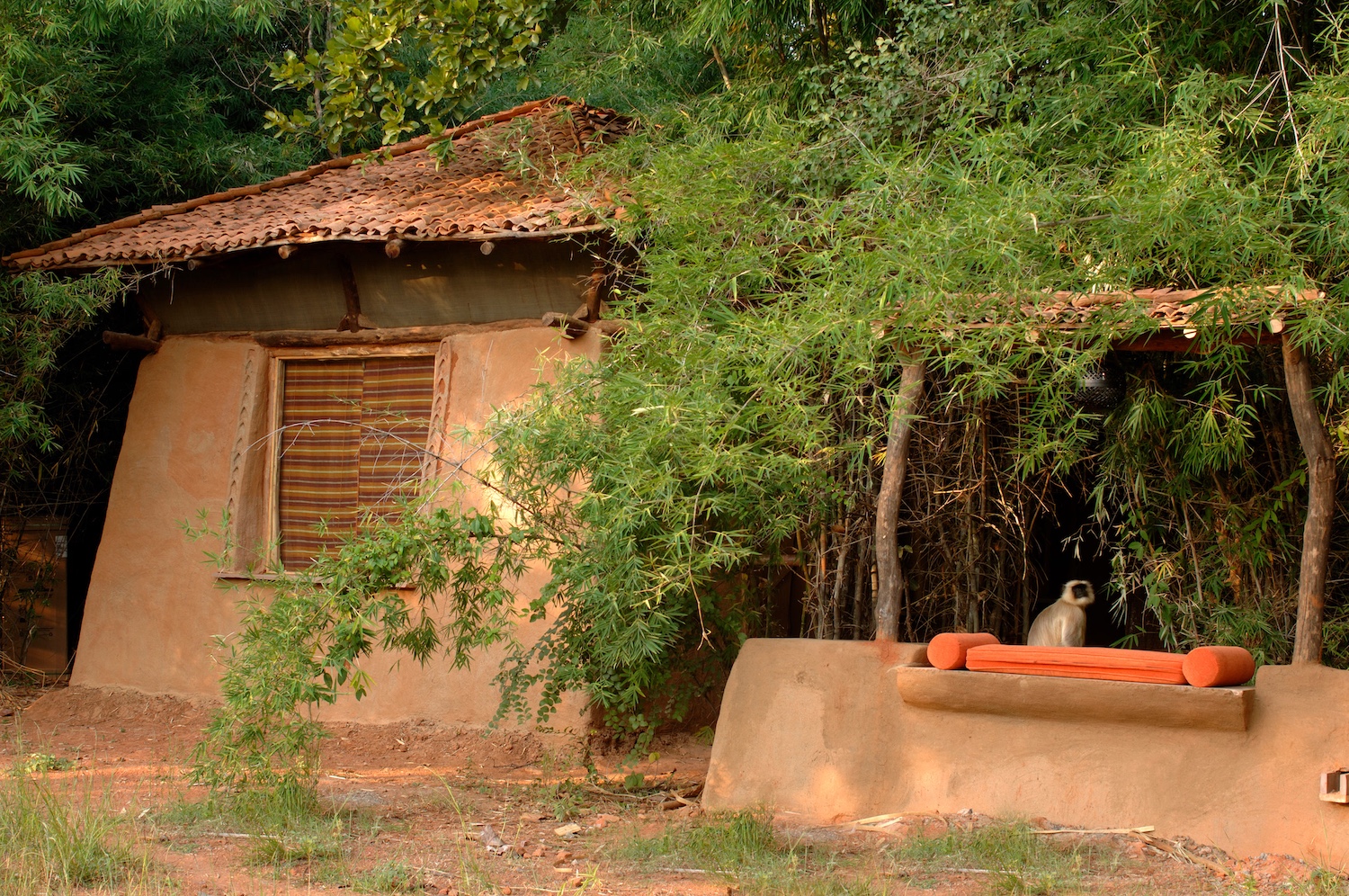 Mahua Kothi, Bandhavgarh, India 3.jpg