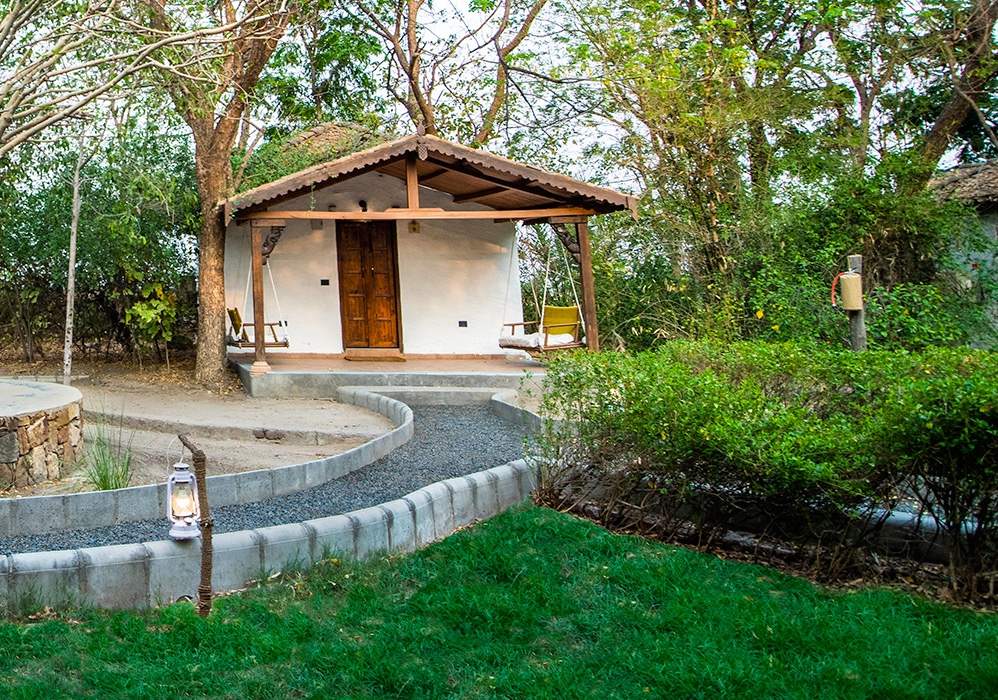 Rann Rides, Dasada, Gujurat, India 3.jpg